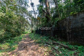 land_lot em Rua Itupu, Chácara Monte Alegre - São Paulo - SP