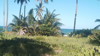 land_lot em Rodovia BA-099, Busca Vida (Abrantes) - Camaçari - BA