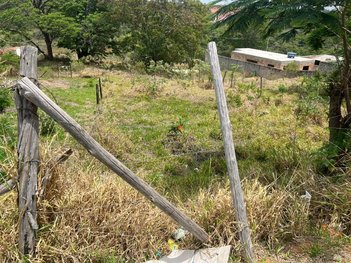 land_lot em Rua Lírio, Parque da Lagoa (Cachoeira do Campo) - Ouro Preto - MG