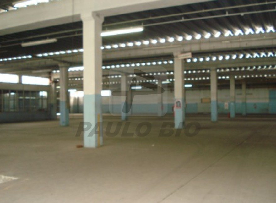 image - 2025-10-01T084611