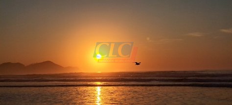 apartment em Rua Andorinha do Mar, Praia Grande - Ubatuba - SP