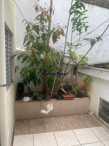 house em Rua Padre Azevedo, Jardim São Paulo(Zona Norte) - São Paulo - SP