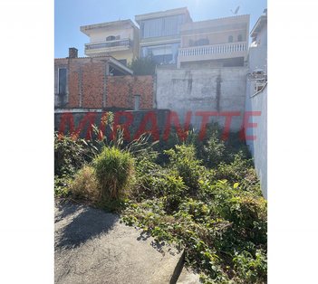 land_lot em Santa Veridiana, Vila Maria Alta - São Paulo - SP