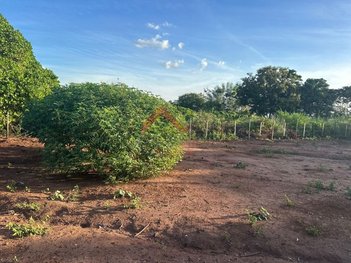 land_lot em Rua Holanda, Jardim Europa - Andradina - SP