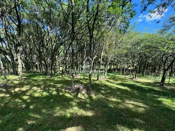 land_lot em General Alexandre Moss Simões dos Reis, São Ciro - Caxias do Sul - RS