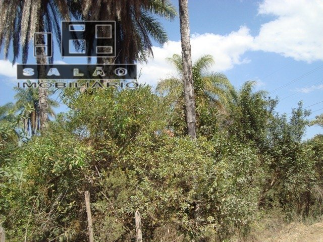 | Foto_migracao | 2