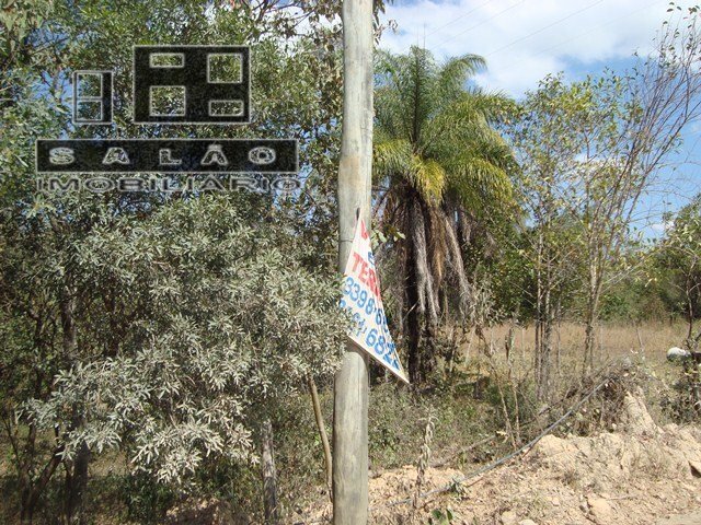 | Foto_migracao | 3