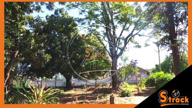 land_lot em Graciliano Luis Silveira, Santa Teresa - São Leopoldo - RS