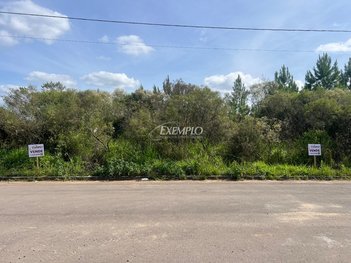 land_lot em Rua Raymundo Bortolo Sandi, São Virgílio - Caxias do Sul - RS