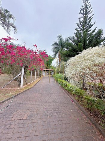 agricultural em Rodovia BR-497, Chácaras Eldorado - Uberlândia - MG
