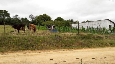 land_lot em Rua dos Limoeiros, Quintas de Pirapora I - Salto de Pirapora - SP