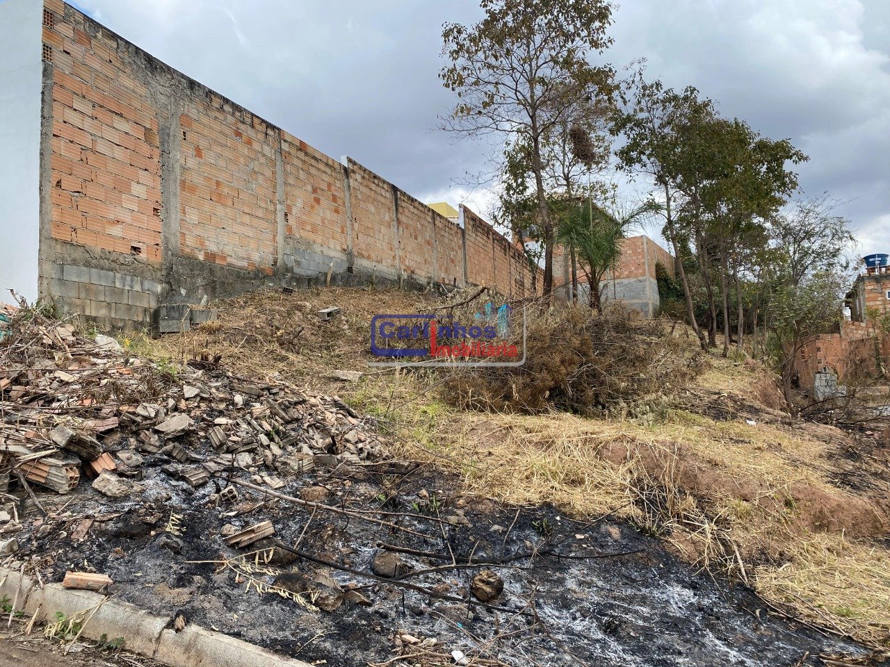 WhatsApp Image 2025-09-25 at 08.25