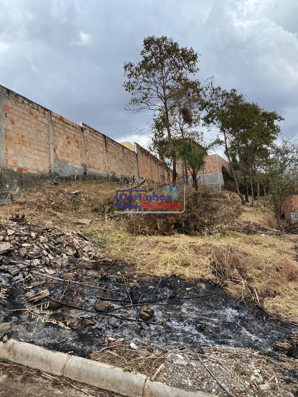 WhatsApp Image 2025-09-25 at 08.25