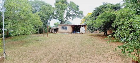 commercial_property em Área Rural, Área Rural de Bauru - Bauru - SP