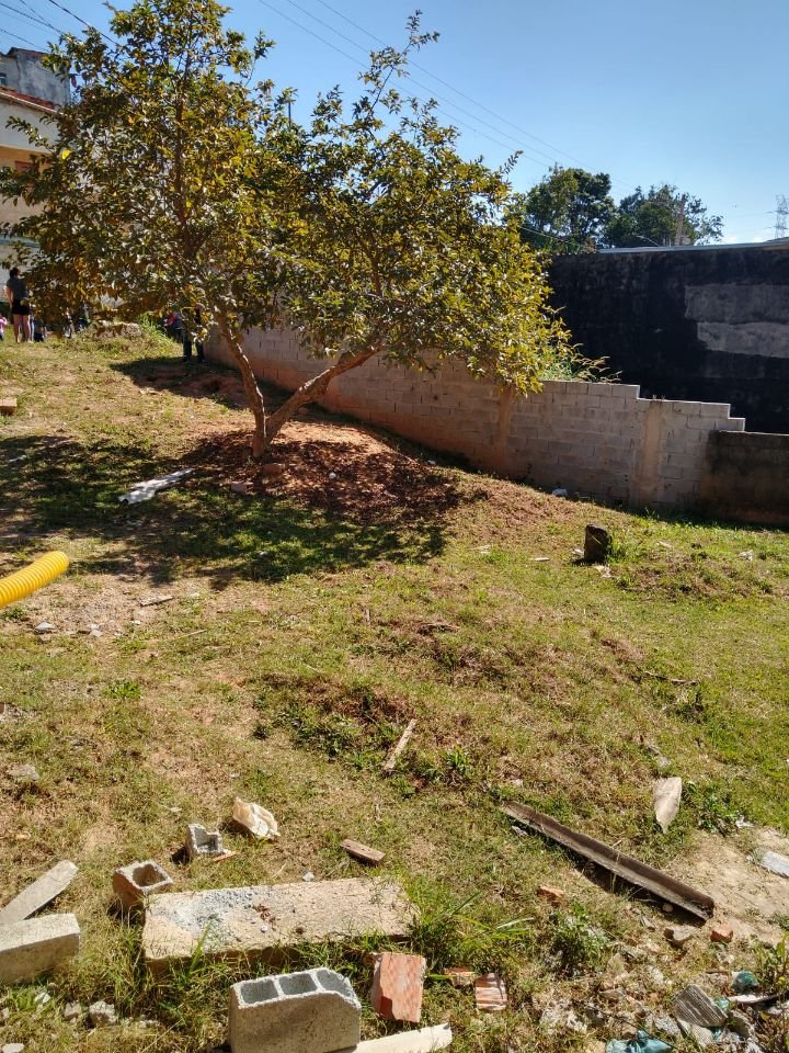 foto_certa_migr - 1