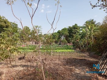 agricultural em Do Rosário, Comunidade Betel - Sinop - MT