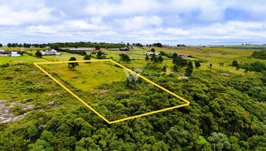 land_lot em Estrada da Lage, São Luiz do Purunã - Balsa Nova - PR