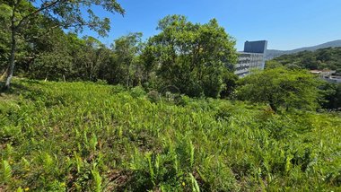 land_lot em Rua Sergipe, Estados - Balneário Camboriú - SC