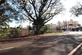 land_lot em Avenida Santos Dumont, Boa Vista - Londrina - PR