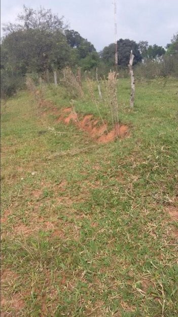 land_lot em Rua Manoel Segundo Celice, Residencial Prado - Birigui - SP