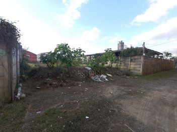 land_lot em Severo Dullius, Anchieta - Porto Alegre - RS