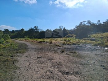 land_lot em Avenida Kenzo Sasaki, Jardim Camila - Mauá - SP