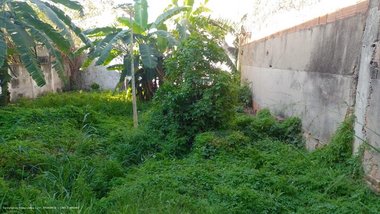 land_lot em Rua Itaperoá, Rocha Miranda - Rio de Janeiro - RJ