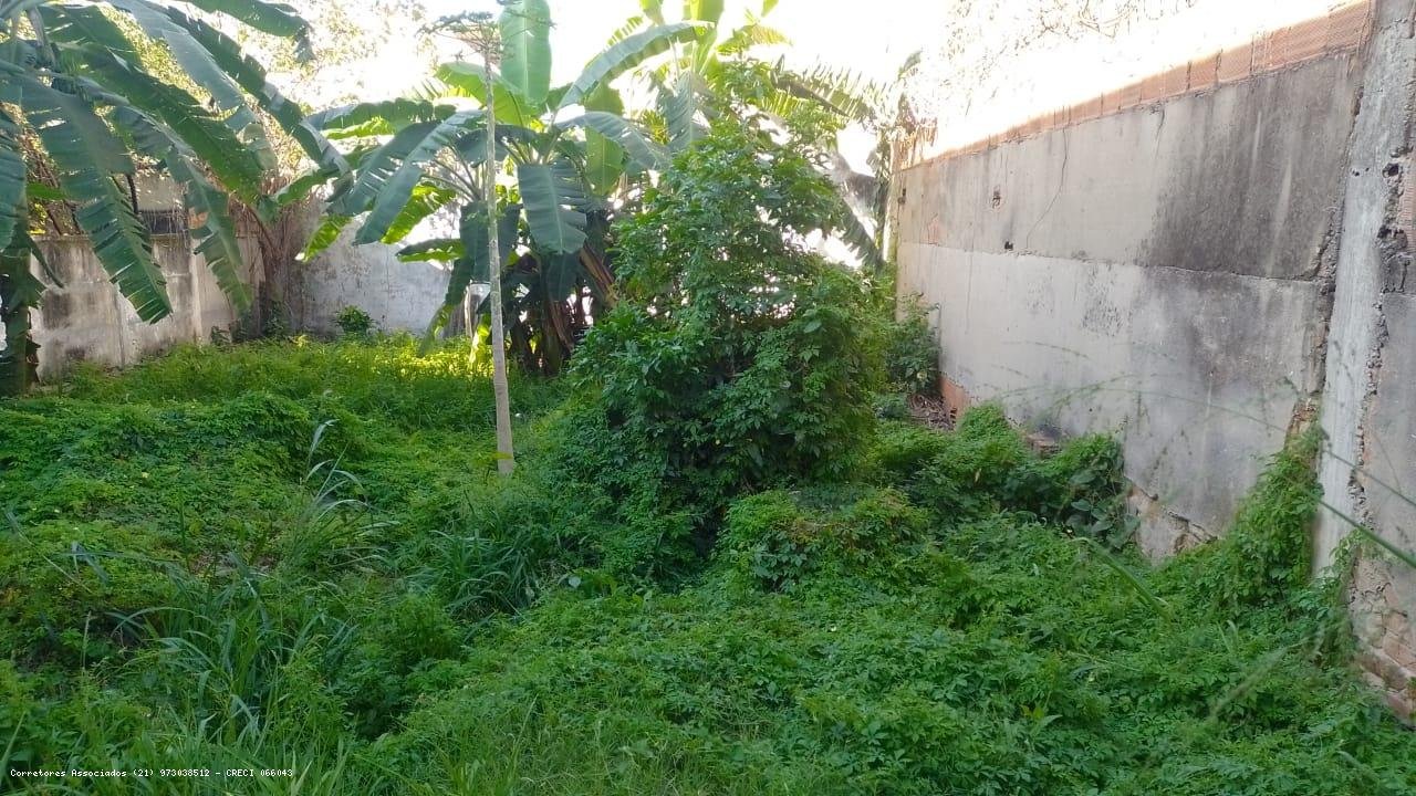 image-0