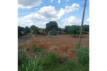land_lot em Rua João Leopoldo, Saúde - Guaiçara - SP