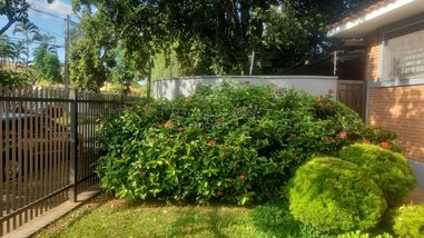 house em Avenida Mário H. Arita, Jardim Primor - Araraquara - SP