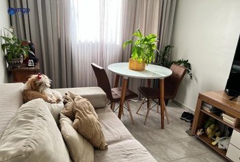 apartment em Rua Salvador Bicudo, Tucuruvi - São Paulo - SP