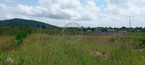 land_lot em Rodovia Doutor Antônio Luiz Moura Gonzaga, Rio Tavares - Florianópolis - SC