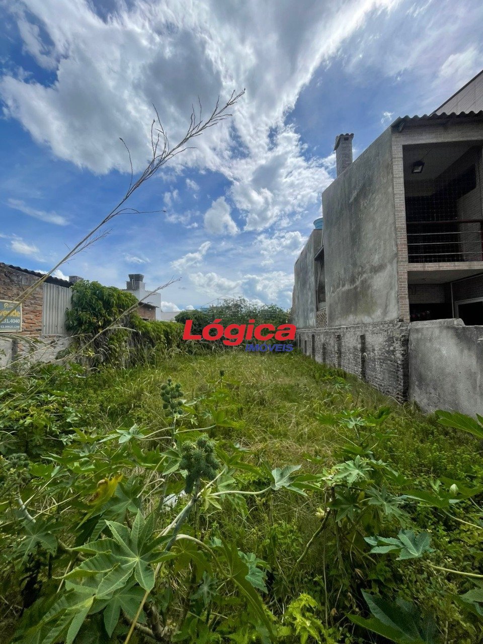 WhatsApp Image 2025-12-12 at 15.51