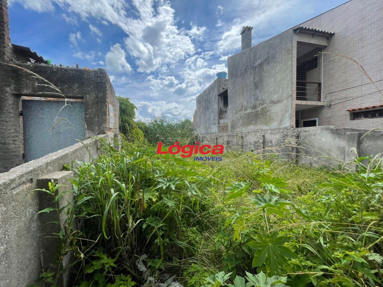 WhatsApp Image 2025-12-12 at 15.51