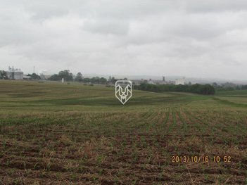 commercial_building em Nossa Senhora Aparecida, Cará-cará - Ponta Grossa - PR