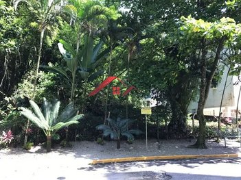 land_lot em Rua México, Pitangueiras - Guarujá - SP