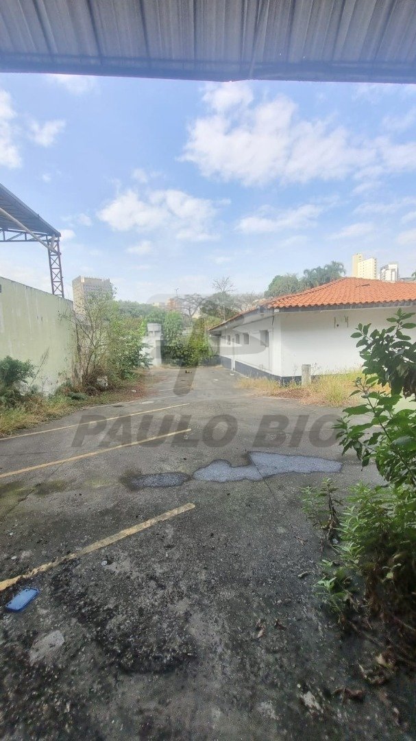 WhatsApp Image 2024-06-28 at 11.20