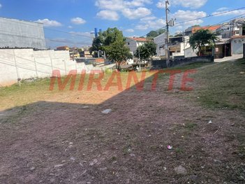 land_lot em Rua Teodureto de Camargo, Vila Celeste - São Paulo - SP