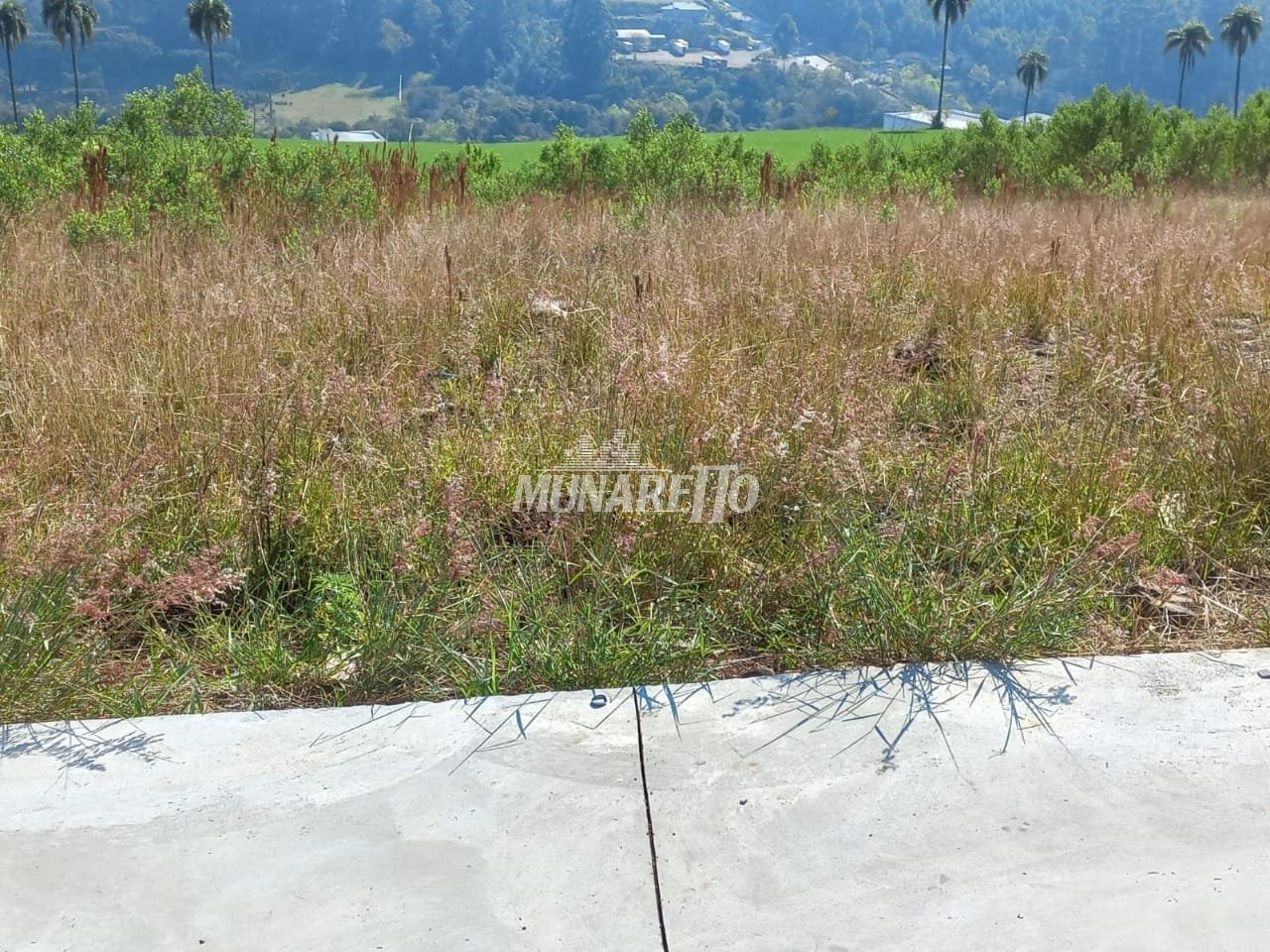 jardim-sao-cristovao1743628153718lklyk.jpg