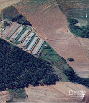commercial_property em Rodovia Julio Zacarias, Barão de Lucena - Nova Esperança - PR