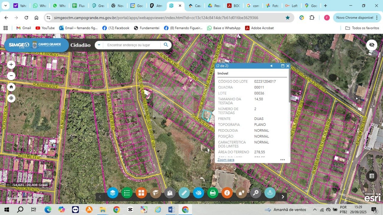 Captura de Tela (1334)