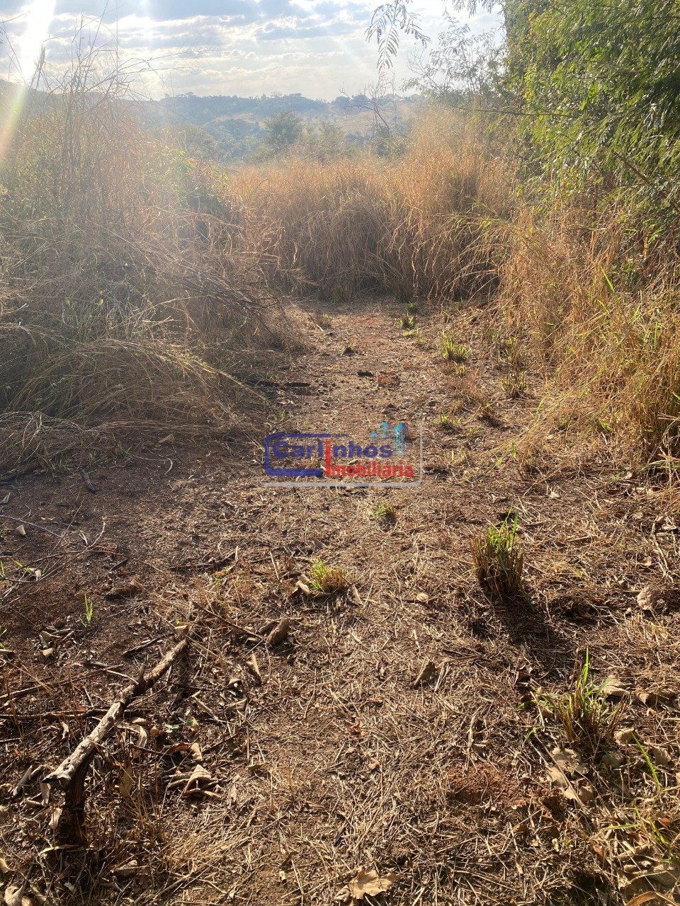 WhatsApp Image 2025-11-04 at 11.15