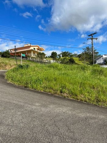 land_lot em Avenida das Maracanãs, Pedra Branca - Palhoça - SC