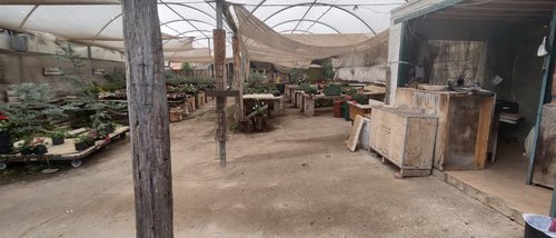 land_lot em Avenida Coronel José Dias Bicalho, São José - Belo Horizonte - MG