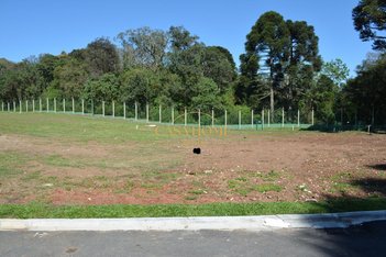 land_lot em Rua Pedro Cruzetta, Augusta - Curitiba - PR