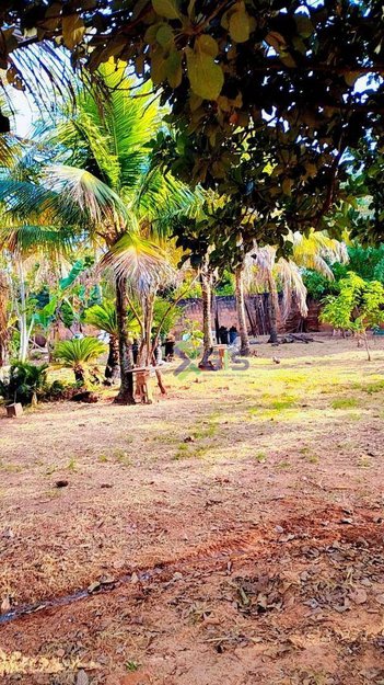 agricultural em Estrada Municipal José Domingues Netto, Residencial Colina Azul - São José do Rio Preto - SP