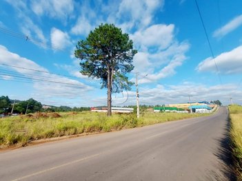 commercial_building em Augusto Helmuth Kuhn, Fazenda São Borja - São Leopoldo - RS