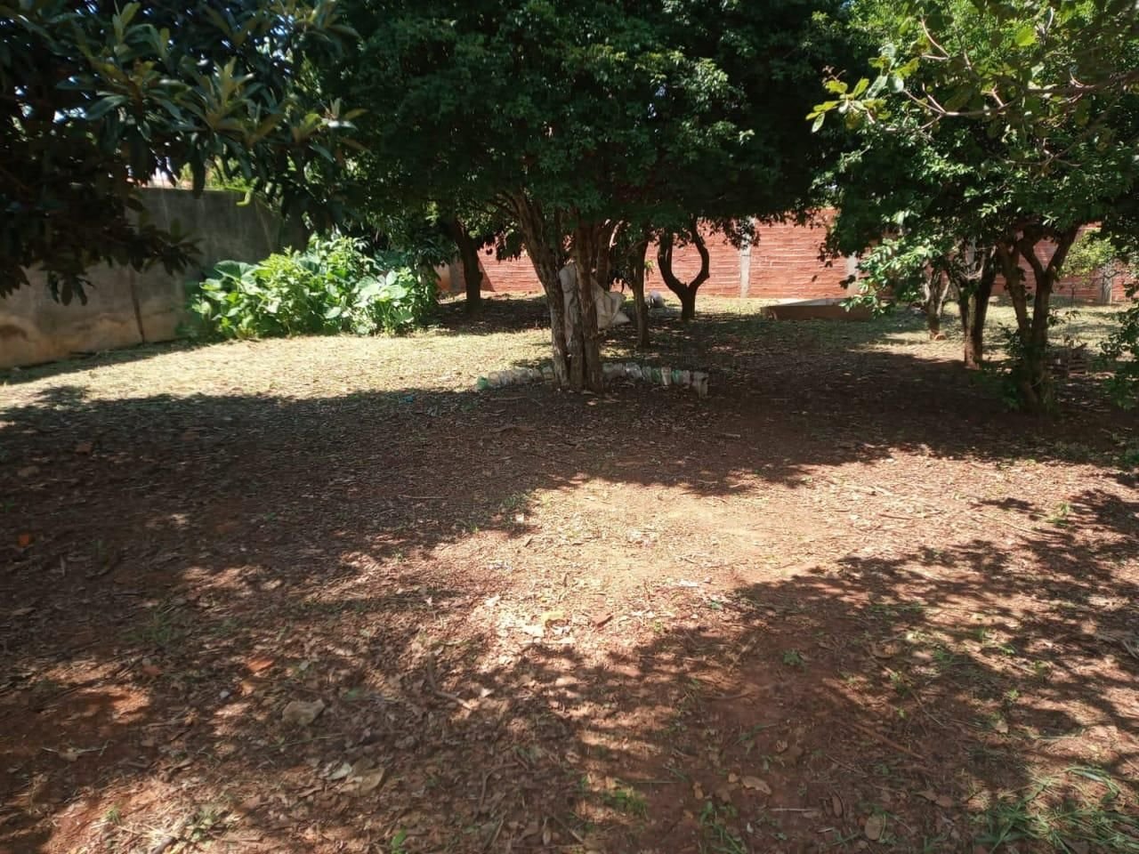 img1