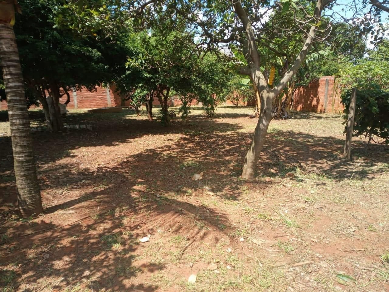 img2