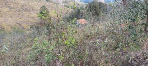 land_lot em Avenida Cassatella, Ivoturucaia - Jundiaí - SP